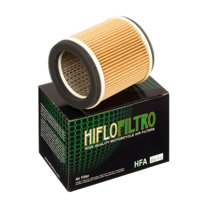 Filtro de Aire Hiflofiltro HFA2910 | RCMotos