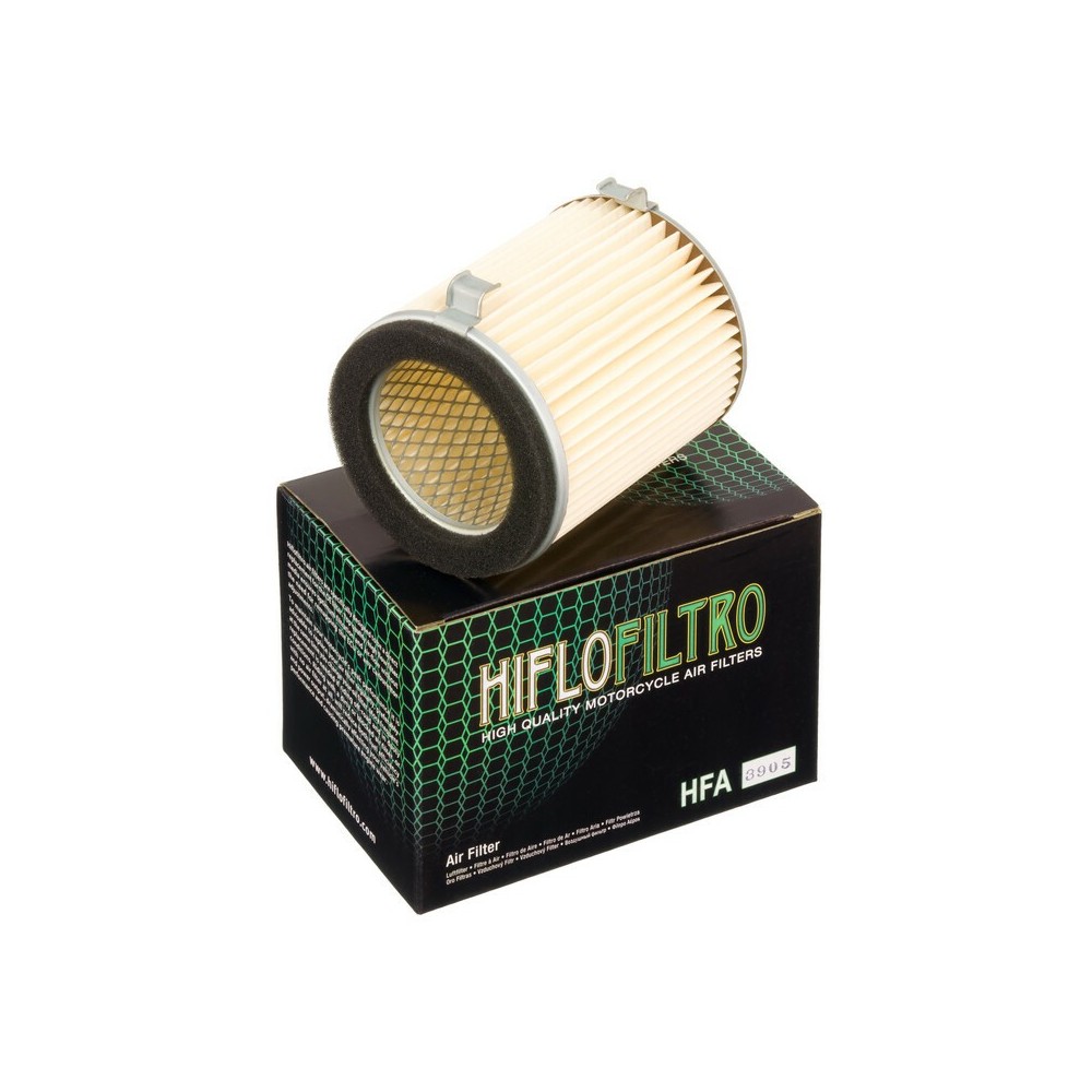 Filtro de Aire Hiflofiltro HFA3905 | RCMotos