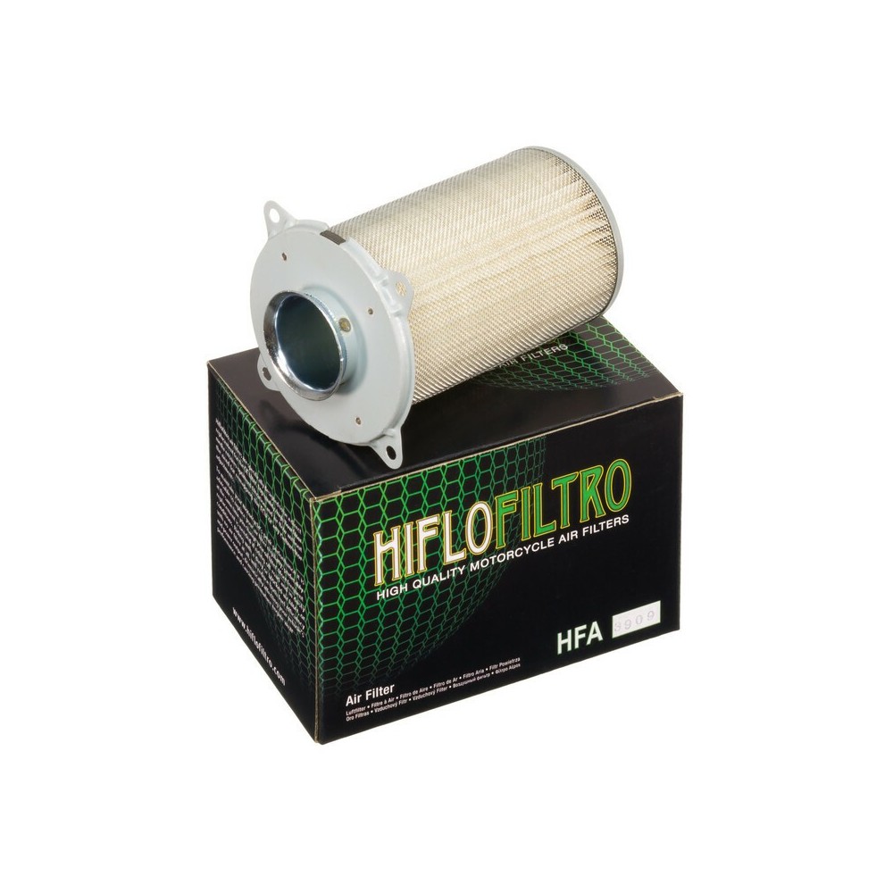Filtro de Aire Hiflofiltro HFA3909 | RCMotos