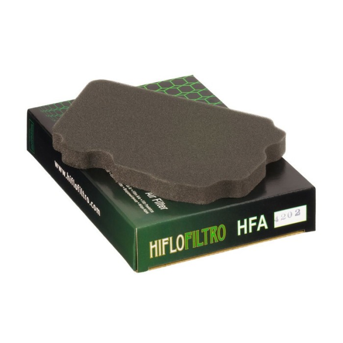 Filtro de Aire Hiflofiltro HFA4202 | RCMotos