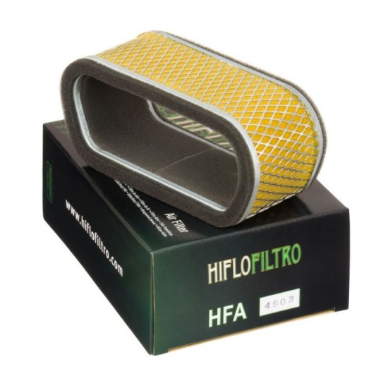 Filtro de Aire Hiflofiltro HFA4903 | RCMotos