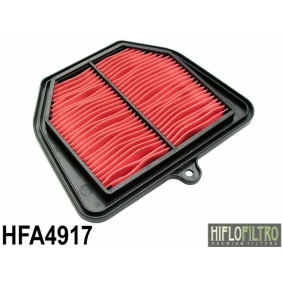 Filtro de Aire Hiflofiltro HFA4917 | RCMotos