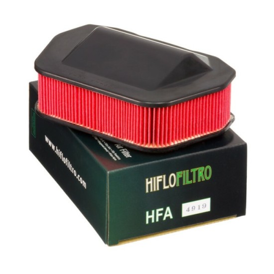 Filtro de Aire Hiflofiltro HFA4919 | RCMotos