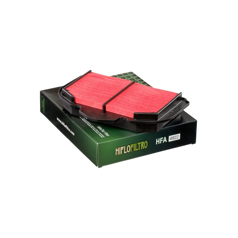 Filtro de Aire Hiflofiltro HFA4922 | RCMotos