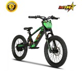 Bicicleta eléctrica Thunder Pro 20" 500W | E-bike infantil off road