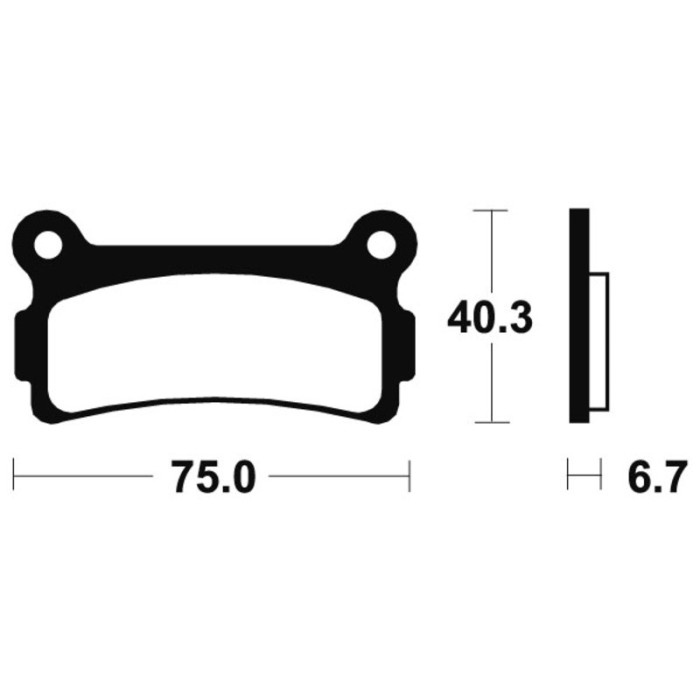 Pastillas de Freno Tecnium | Potencia y control al frenar  RCMotos