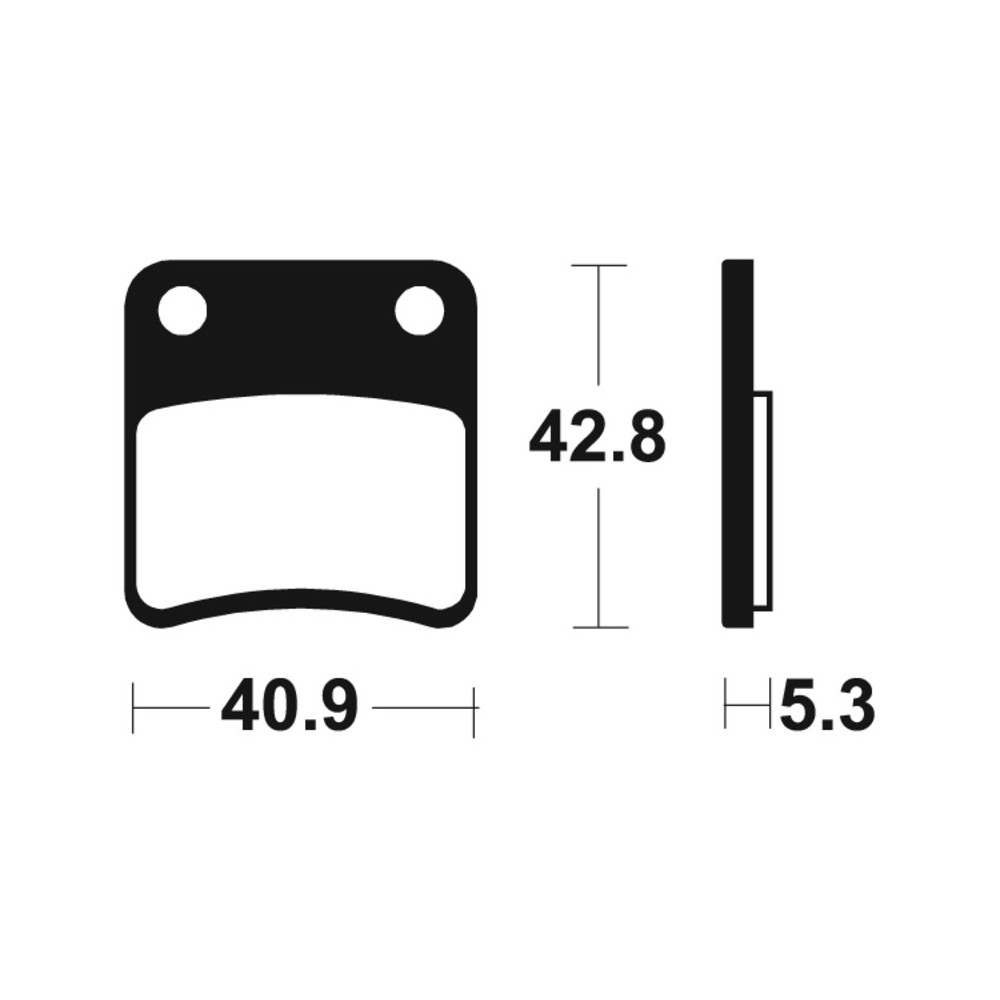 Pastillas de Freno Tecnium | Potencia y control al frenar  RCMotos