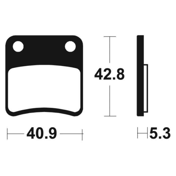 Pastillas de Freno Tecnium | Potencia y control al frenar  RCMotos
