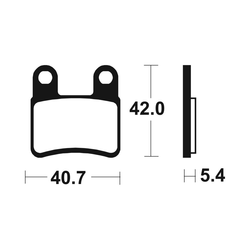 Pastillas de Freno Tecnium | Potencia y control al frenar  RCMotos