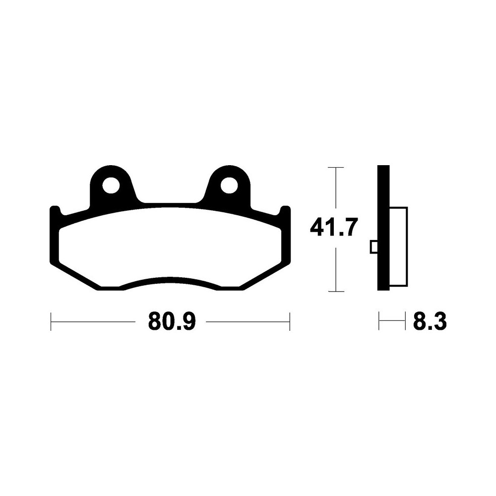 Pastillas de Freno Tecnium | Potencia y control al frenar  RCMotos