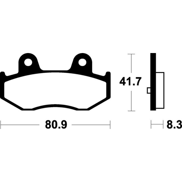 Pastillas de Freno Tecnium | Potencia y control al frenar  RCMotos