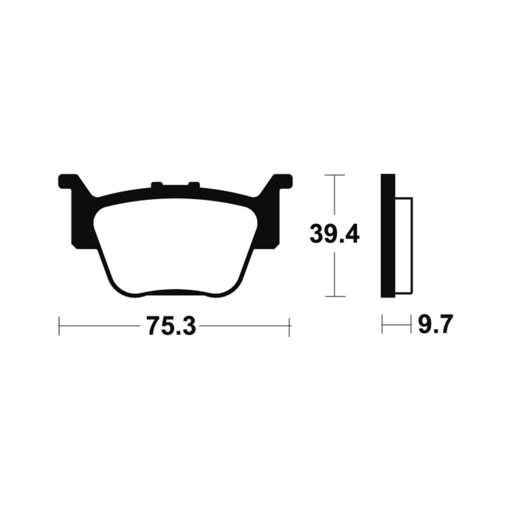 Pastillas de Freno Tecnium | Potencia y control al frenar  RCMotos