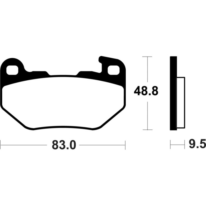 Pastillas de Freno Tecnium | Potencia y control al frenar  RCMotos
