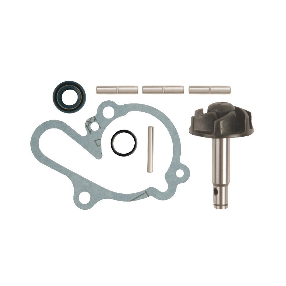 kit reparacion bomba de agua minarelli am6