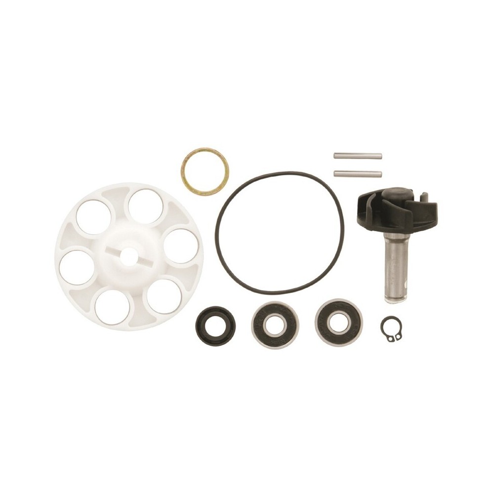 kit reparacion bomba de agua minarelli horizontal