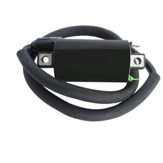 Bobina de encendido moto | Repuesto encendido | RCMotos