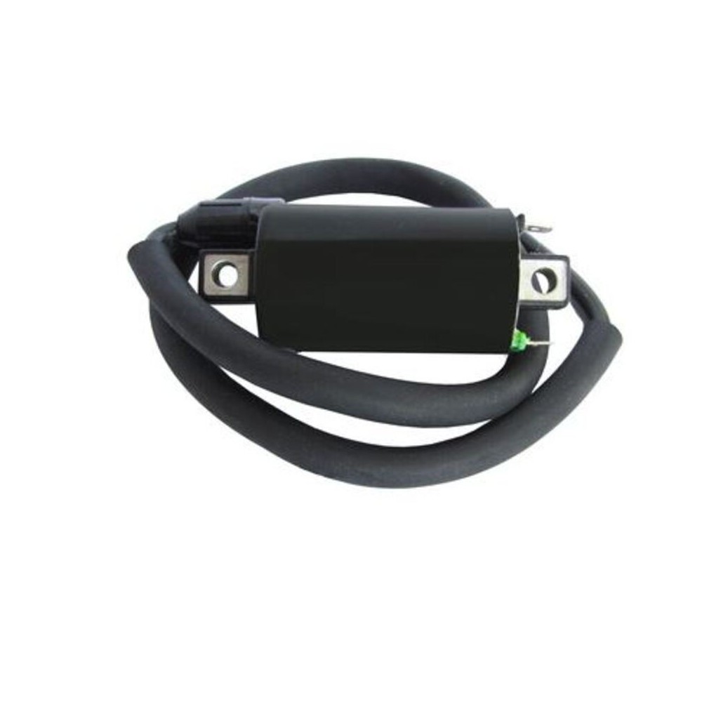 Bobina de encendido moto | Repuesto encendido | RCMotos